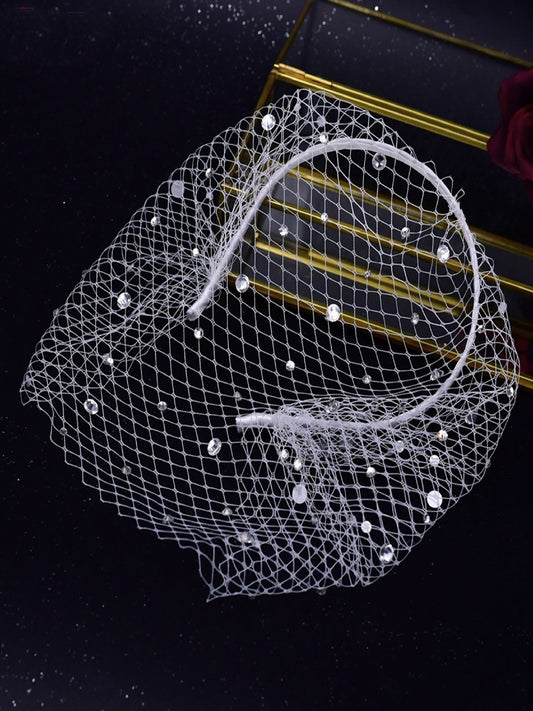 Bird Cage Style Veil