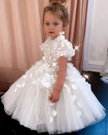 Abigail Short Sleeves Appliques Dress
